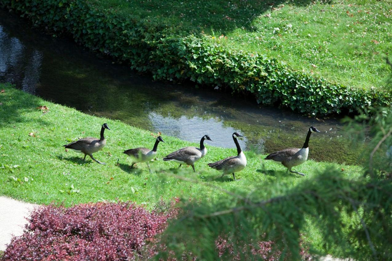 Hotel Domaine De Saint-Paul Zewnętrze zdjęcie